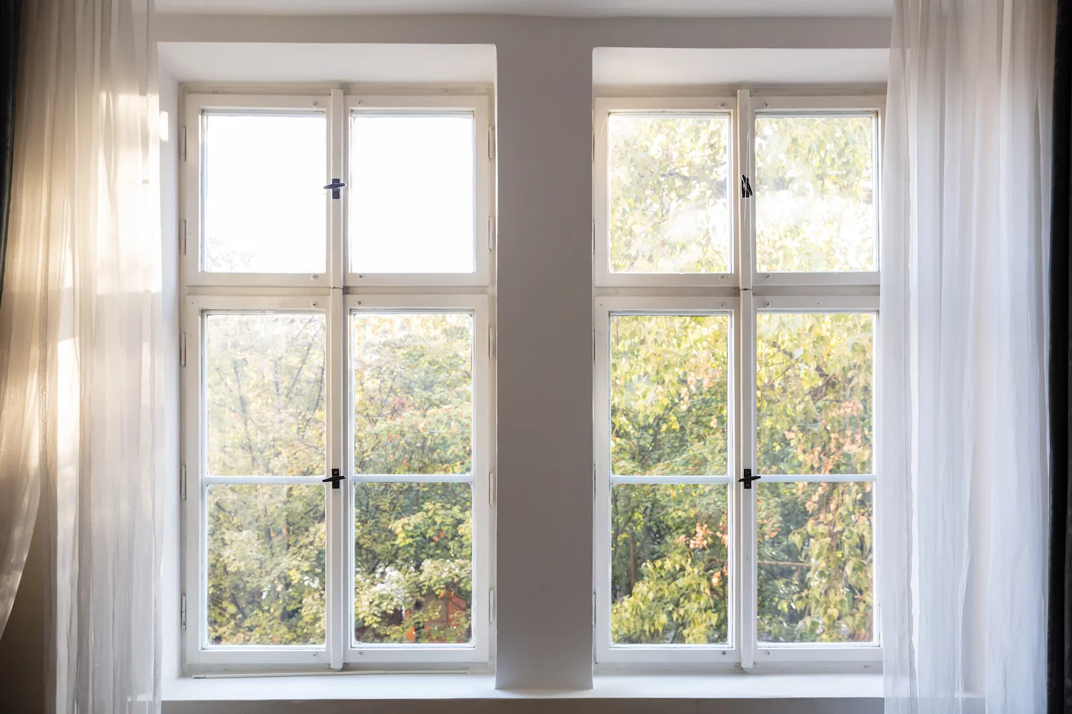 types of windows natural light